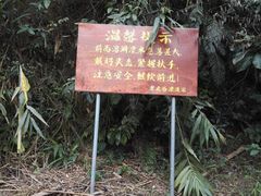 -英西峰林九重天景区