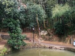 -韶山毛泽东同志故居