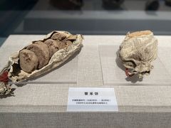 -巴音郭楞蒙古自治州博物馆