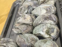 -蚝专家(北滘店)
