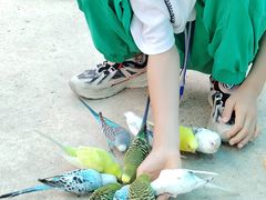 -芜湖新华联大白鲸海洋公园