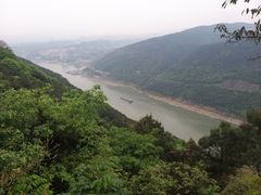 -铁山坪森林公园