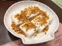 椰脆牛奶小方砖-南信牛奶甜品专家