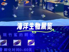 -大连圣亚海洋世界