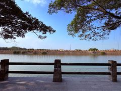 -大湾区中央湿地公园-十九涌