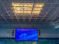 -多彩贵州城极地海洋世界