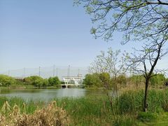 -九里河湿地公园