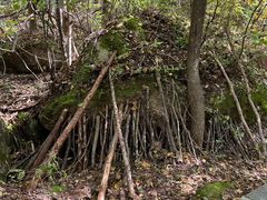 -五女峰国家森林公园