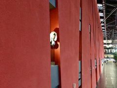 -四川广播电视台(世纪城路店)