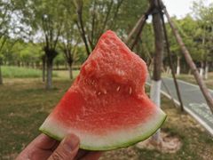 -洨河生态公园