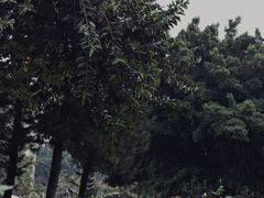 -人民公园(罗湖区)