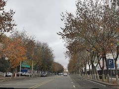 -布尔津河堤夜市