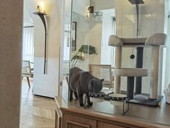 -Me Coffee下午茶艺术空间