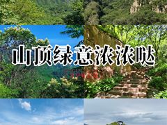 -大岭沟猕猴桃谷风景区