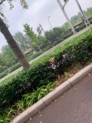 -HEYAN长风荷妍专业脱毛美肤
