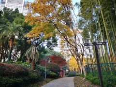 -上海不夜城广场(上海不夜城金融大厦店)