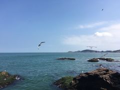 -海驴岛(荣成市)
