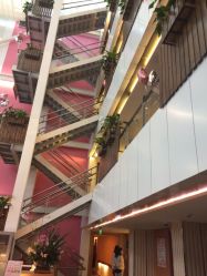 -知爱母婴专护全套房月子会所(新华路店)