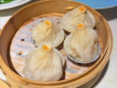 -点都德·毕德寮