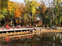 -玲珑塔公园