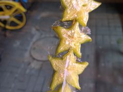 -野栗香(娄山关路店)