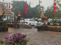 -头上红煨盐鸡·非遗院子餐厅