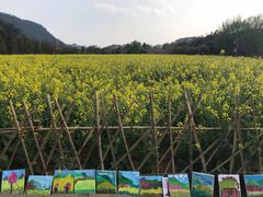 -贵阳市花溪国家城市湿地公园