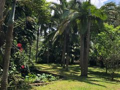 -海南热带野生动植物园