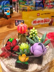 -乐高授权专卖店(鲁能城购物中心店)