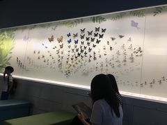 -香港科学馆