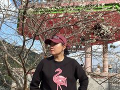 -广州市流溪河国家森林公园
