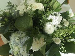 -植物学家的女儿(北马道巷店)