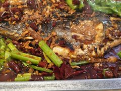 -三味鱼屋(琥珀山庄店)