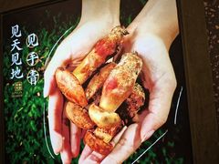 -季季山·云南野生菌火锅(上海首店)