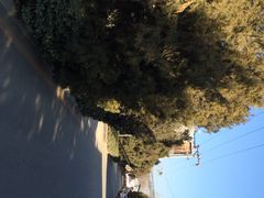 草场地艺术区-草场地艺术区