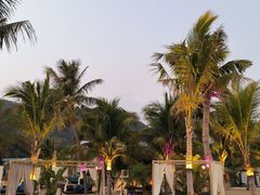 -精酿农场Brew Farm·沙漠绿洲餐厅
