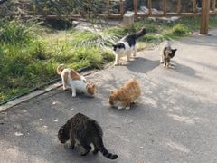 -燕郊植物园