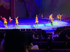 -珠海横琴长隆《卡卡虎奇遇记》