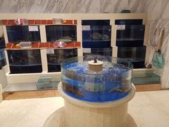 -豪丰国际大酒店-餐厅