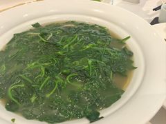 -金河半岛园林酒家(金融城店)