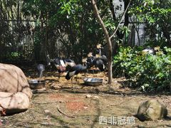 -常州淹城野生动物世界