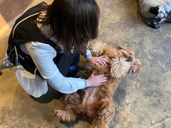 -萌喵咖啡屋(人民东路4号口M16商铺店)