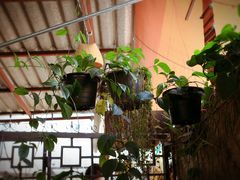-Tikky Cafe