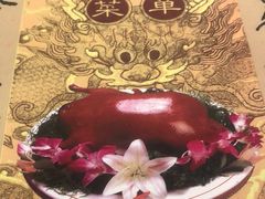 -九花山烤鸭店