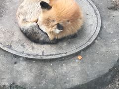 -无锡动物园·太湖欢乐园