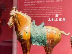 -陕西历史博物馆