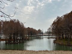 -贡湖湾湿地公园