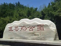-莲花池公园