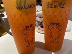 -蛙来哒(京基KKone店)