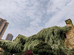-府河摄影公园